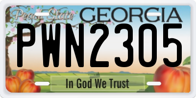 GA license plate PWN2305