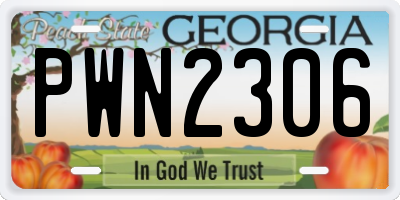 GA license plate PWN2306