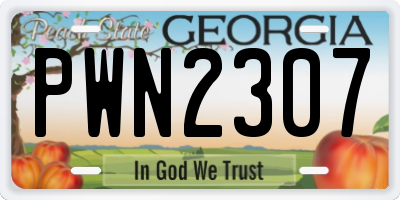 GA license plate PWN2307