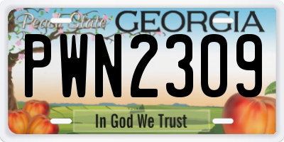 GA license plate PWN2309