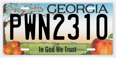 GA license plate PWN2310