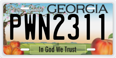 GA license plate PWN2311