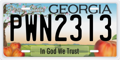 GA license plate PWN2313