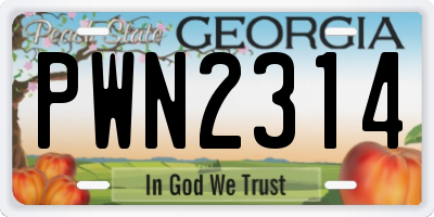 GA license plate PWN2314