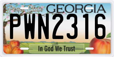 GA license plate PWN2316