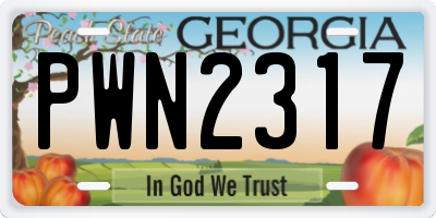 GA license plate PWN2317
