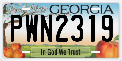 GA license plate PWN2319