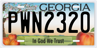 GA license plate PWN2320