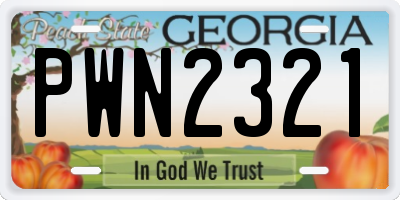 GA license plate PWN2321