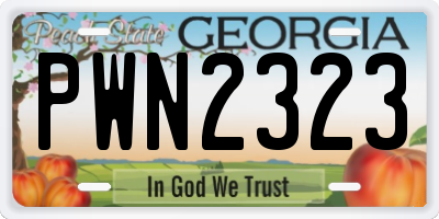 GA license plate PWN2323