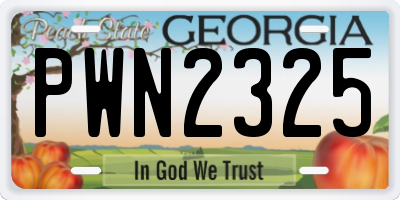 GA license plate PWN2325