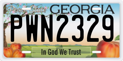 GA license plate PWN2329