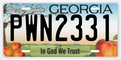 GA license plate PWN2331