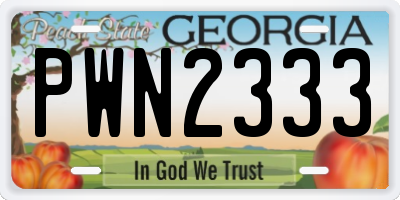 GA license plate PWN2333