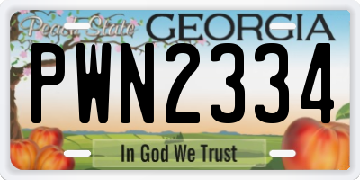GA license plate PWN2334