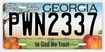 GA license plate PWN2337