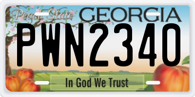 GA license plate PWN2340