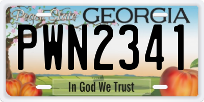 GA license plate PWN2341