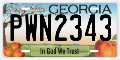 GA license plate PWN2343