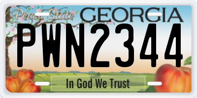 GA license plate PWN2344