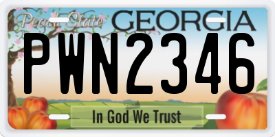 GA license plate PWN2346