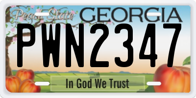GA license plate PWN2347
