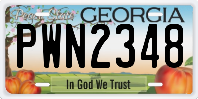GA license plate PWN2348
