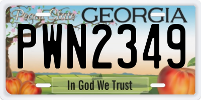 GA license plate PWN2349