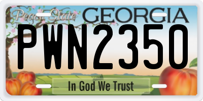 GA license plate PWN2350