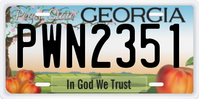 GA license plate PWN2351