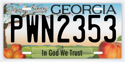 GA license plate PWN2353