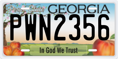 GA license plate PWN2356