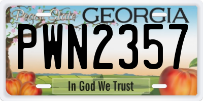 GA license plate PWN2357