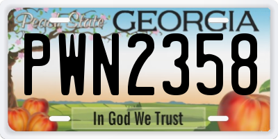 GA license plate PWN2358