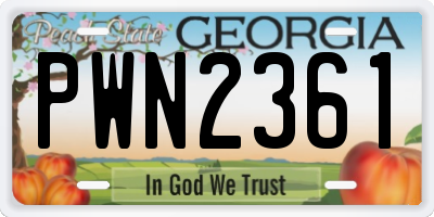 GA license plate PWN2361