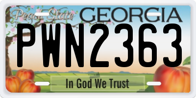 GA license plate PWN2363