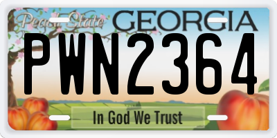 GA license plate PWN2364