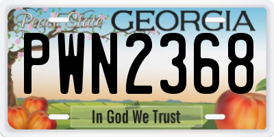 GA license plate PWN2368