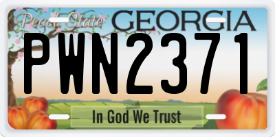 GA license plate PWN2371
