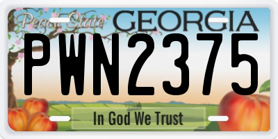 GA license plate PWN2375