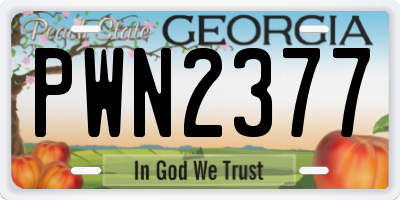 GA license plate PWN2377
