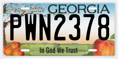 GA license plate PWN2378