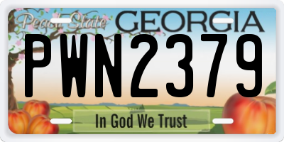 GA license plate PWN2379