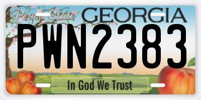 GA license plate PWN2383