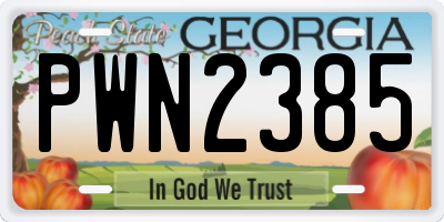 GA license plate PWN2385