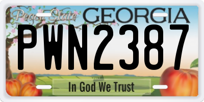 GA license plate PWN2387