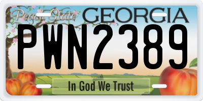 GA license plate PWN2389