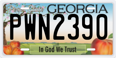 GA license plate PWN2390