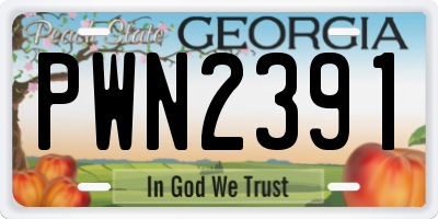 GA license plate PWN2391