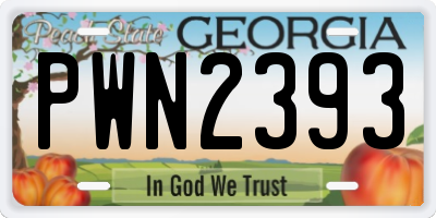 GA license plate PWN2393